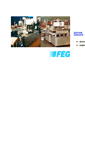 Mobile Screenshot of feg.ch